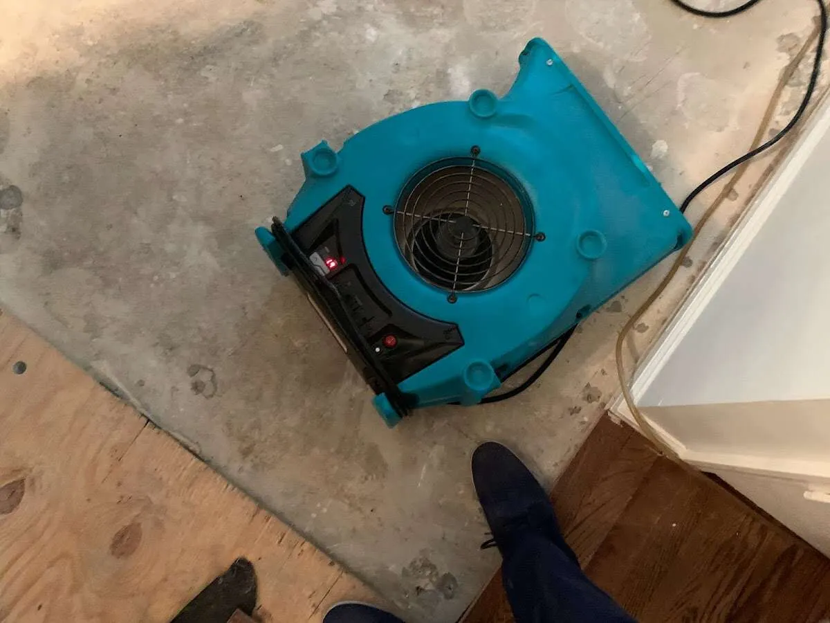 Air mover drying subfloor during Commercial Water Damage Restoration in Clinton